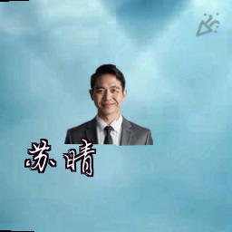 苏晴